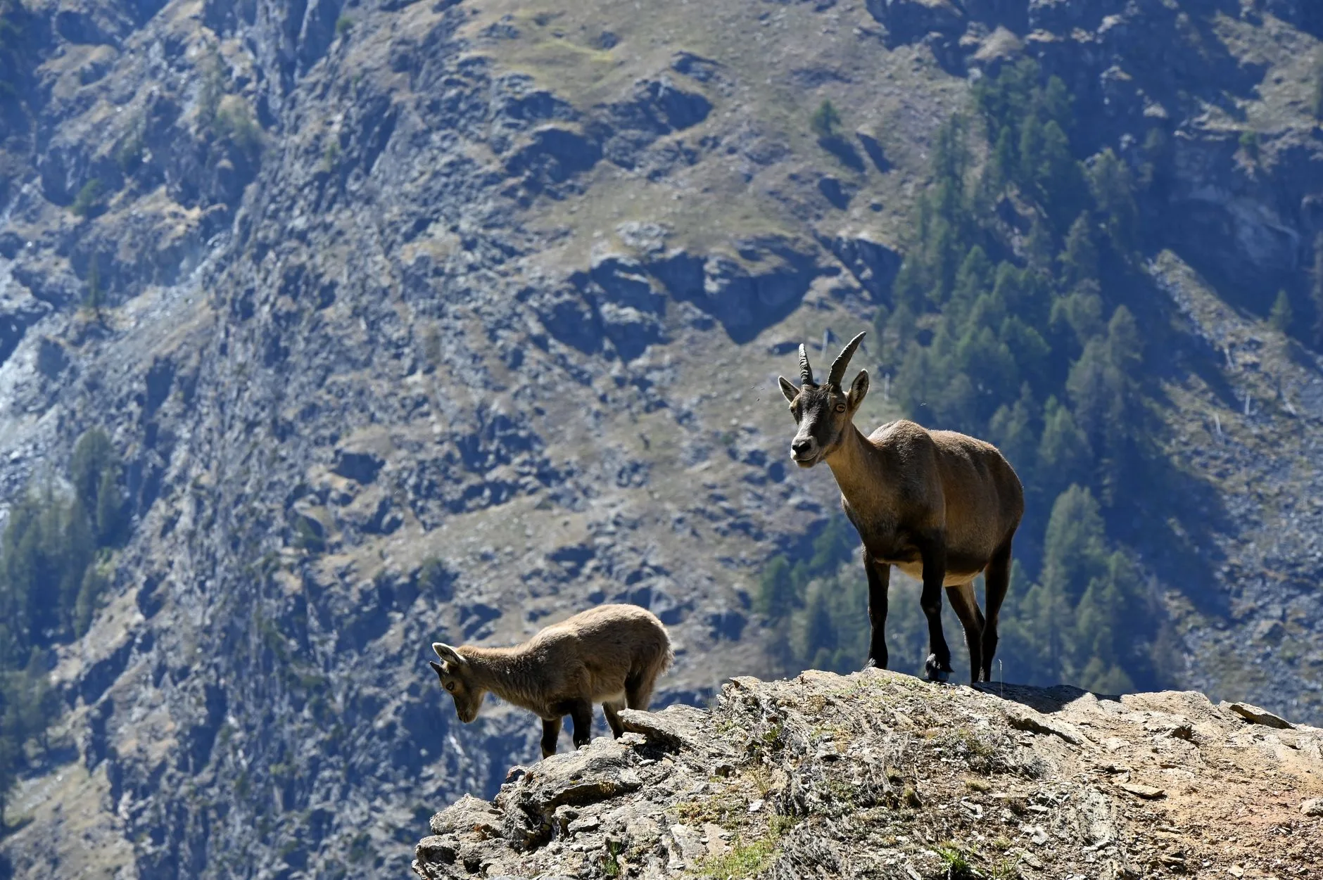 Où partir : idées de secteurs en Savoie et alentours
